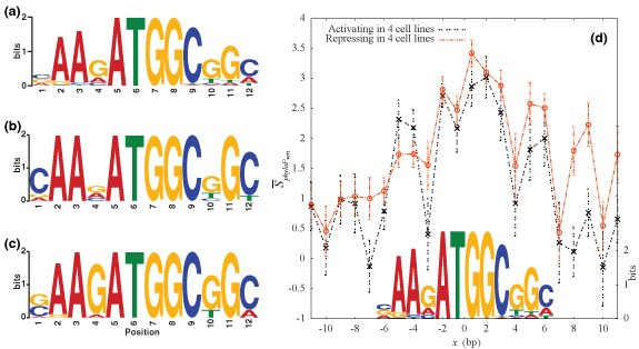1 Transcription factor motifs | Nature
