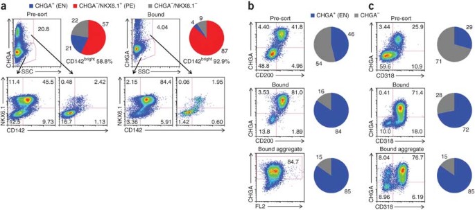 Cell-surface markers for the isolation of pancreatic cell types derived  from human embryonic stem cells | Nature Biotechnology