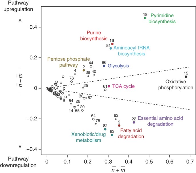 Heterogeneity Of Tumor Induced Gene Expression Changes In The Human Metabolic Network Nature Biotechnology Heterogeneity Of Tumor Induced Gene Expression Changes In The Human Metabolic Network Nature Biotechnology