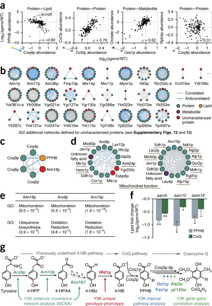 Mitochondrial protein functions elucidated by multi-omic mass spectrometry  profiling | Nature Biotechnology