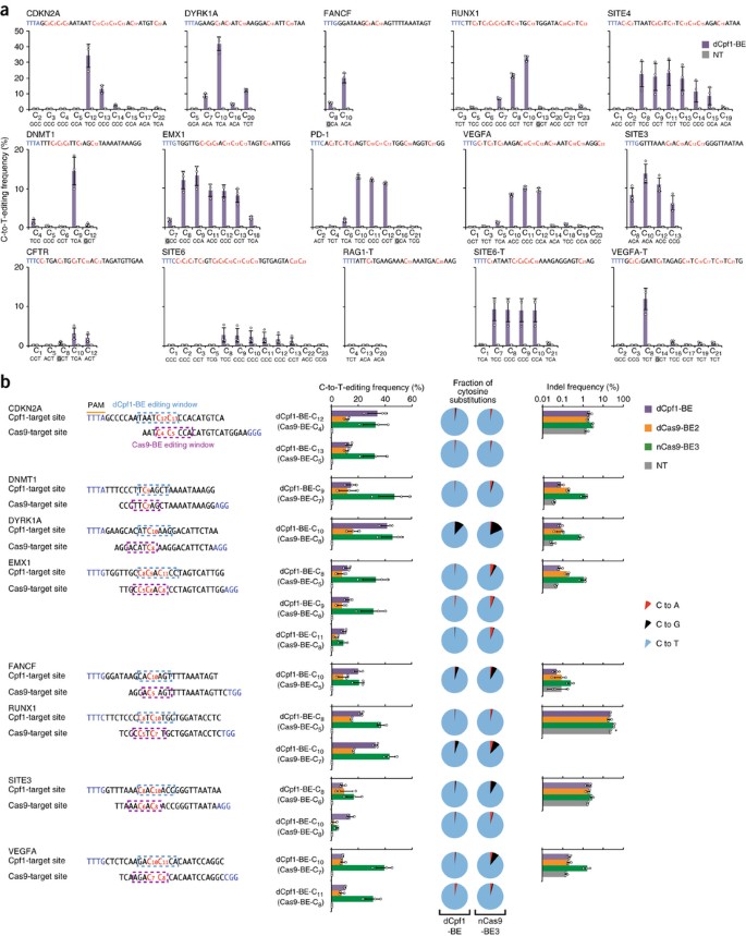 Base Editing With A Cpf1 Cytidine Deaminase Fusion Nature Biotechnology