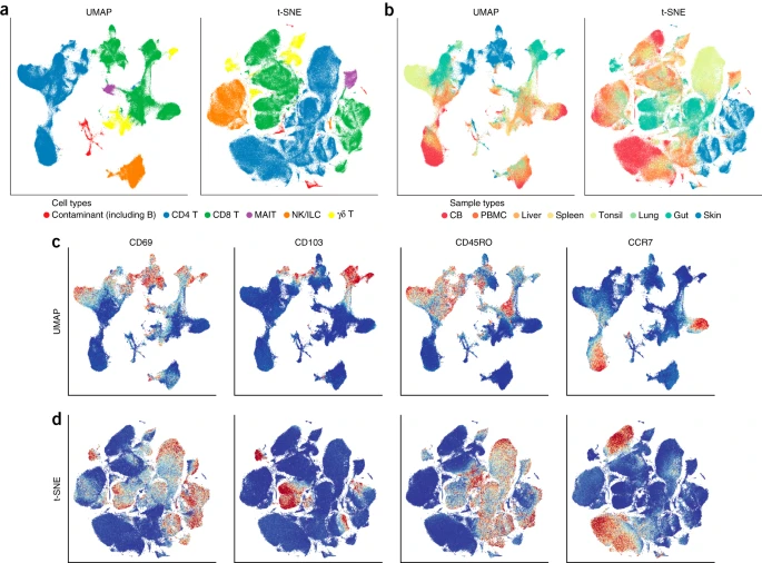 t-SNE v.s. UMAP