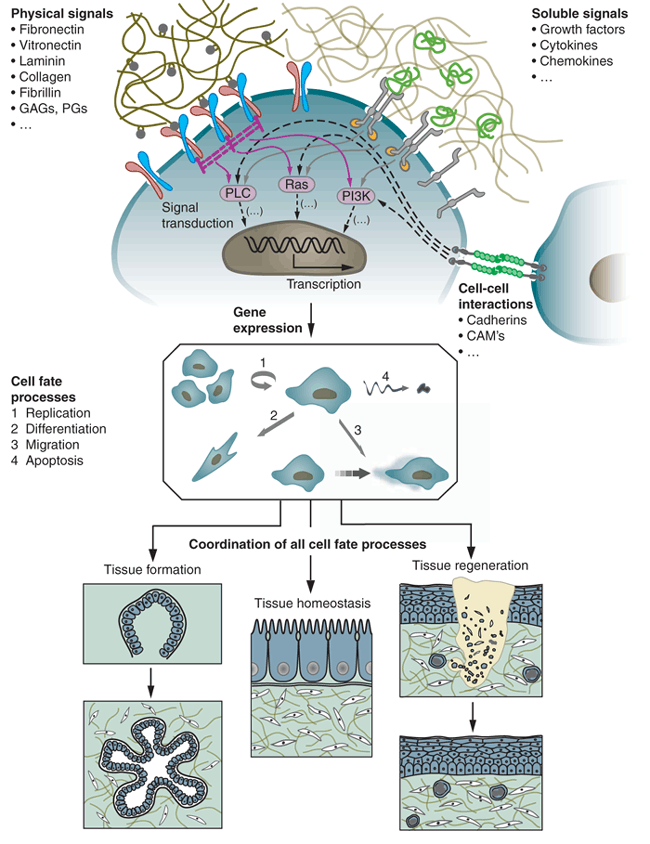 figure1