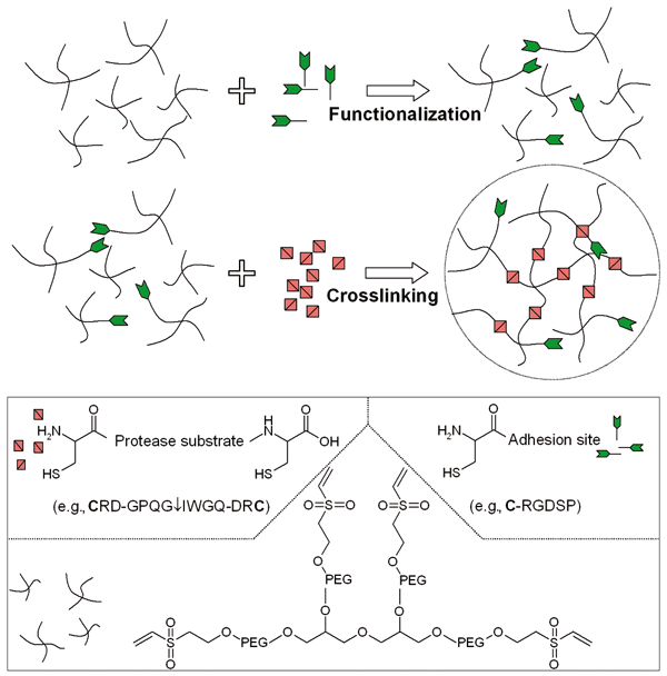 figure1