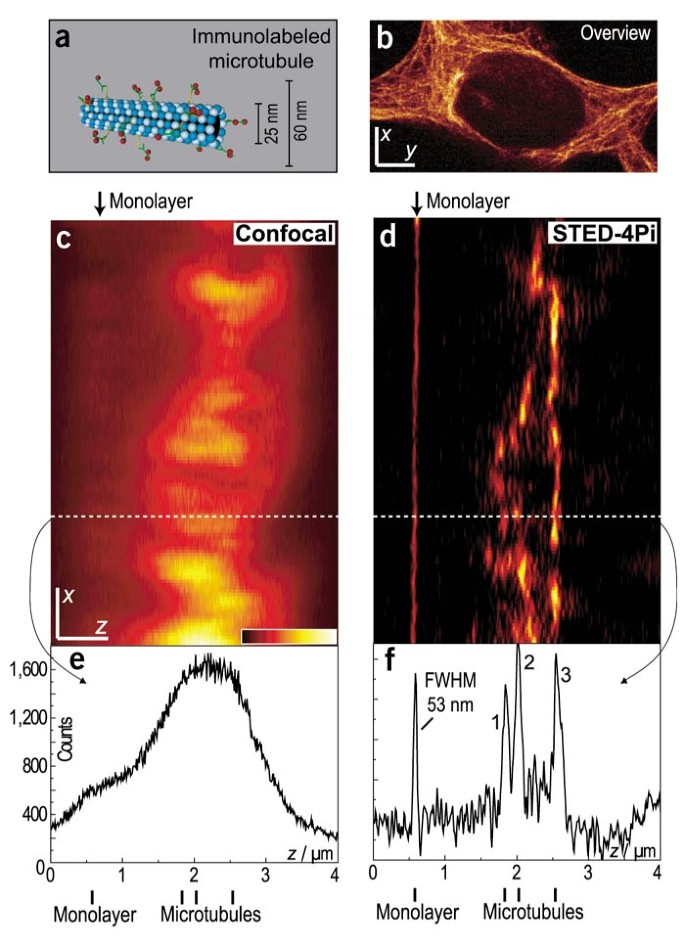 Figure 3 from Stimulated Emission Depletion (STED) Microscopy: from Theory  to Practice