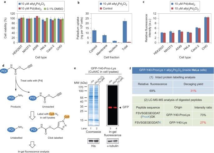 Palladium-triggered deprotection chemistry for protein activation in living  cells | Nature Chemistry
