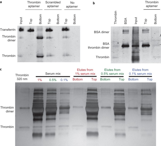 An Aptamer Functionalized Chemomechanically Modulated Biomolecule Catch And Release System Nature Chemistry