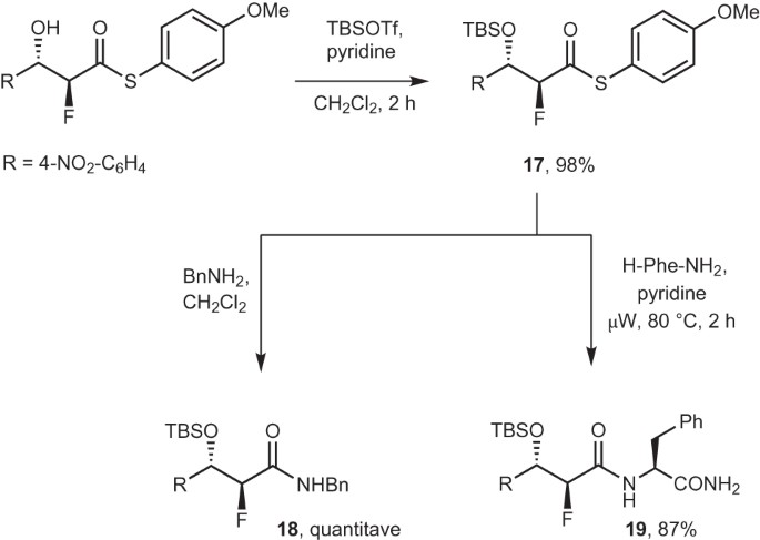 aldol reactions with masked fluoroacetates | Nature Chemistry