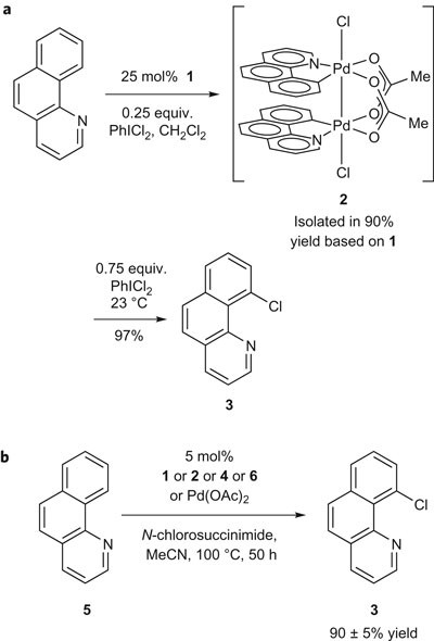 Bimetallic Pd(III) complexes in palladium-catalysed carbon–heteroatom bond  formation | Nature Chemistry