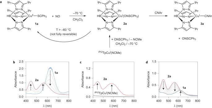 A Motif For Reversible Nitric Oxide Interactions In Metalloenzymes Nature Chemistry