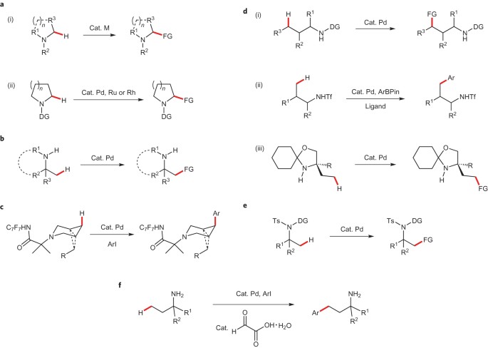 Site Selective C H Arylation Of Primary Aliphatic Amines Enabled By A Catalytic Transient Directing Group Nature Chemistry