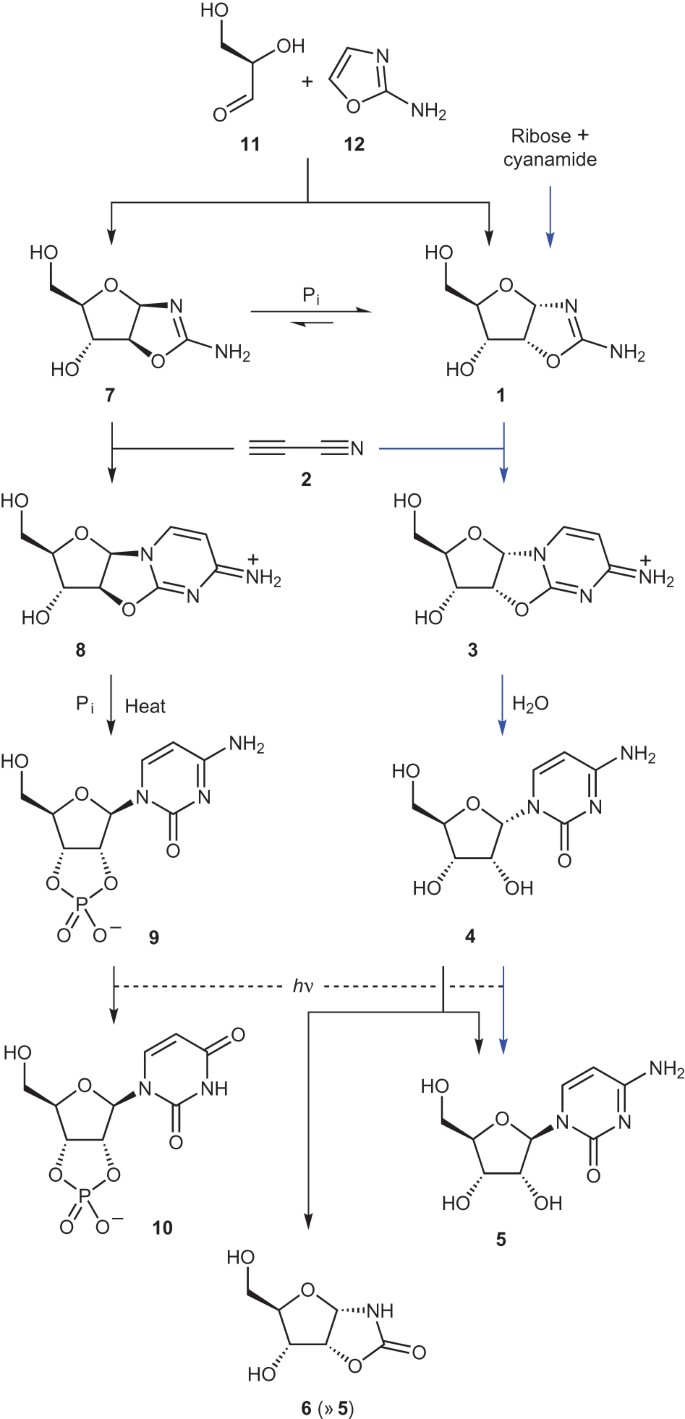 A Prebiotically Plausible Synthesis Of Pyrimidine B Ribonucleosides And Their Phosphate Derivatives Involving Photoanomerization Nature Chemistry