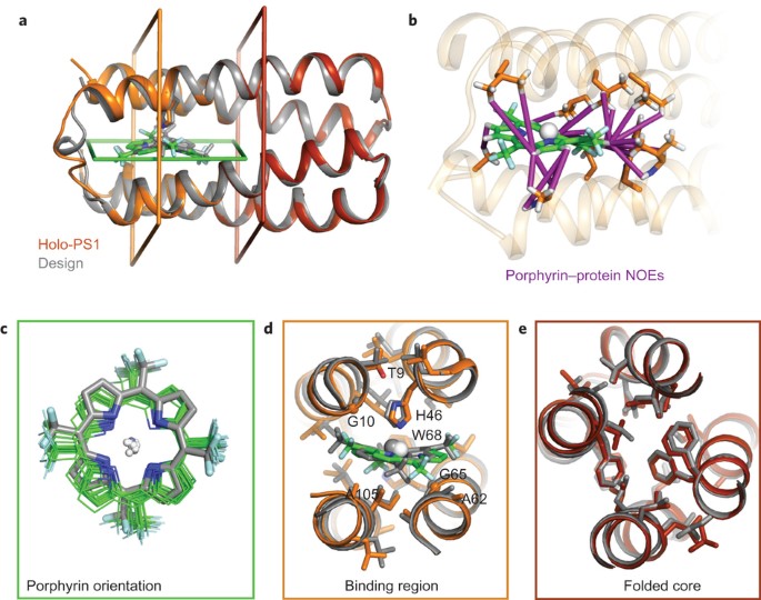 De Novo Design Of A Hyperstable Non Natural Protein Ligand Complex With Sub A Accuracy Nature Chemistry