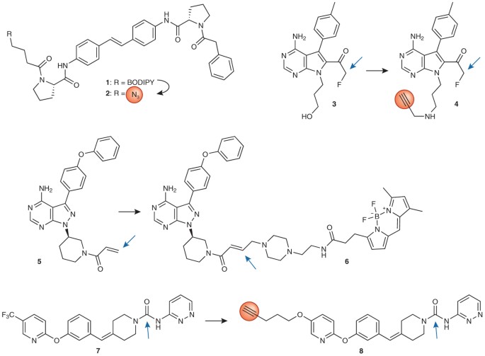 Target validation using chemical probes | Nature Chemical Biology