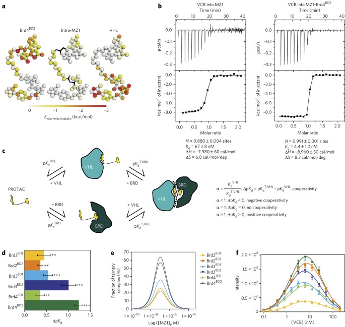 Structural Basis Of Protac Cooperative Recognition For Selective Protein Degradation Nature Chemical Biology