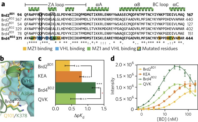 Structural Basis Of Protac Cooperative Recognition For Selective Protein Degradation Nature Chemical Biology