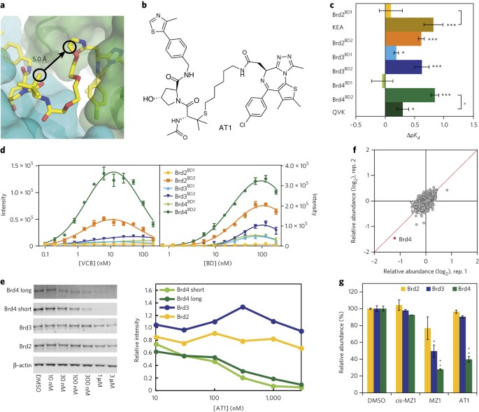 Structural Basis Of Protac Cooperative Recognition For Selective Protein Degradation Nature Chemical Biology