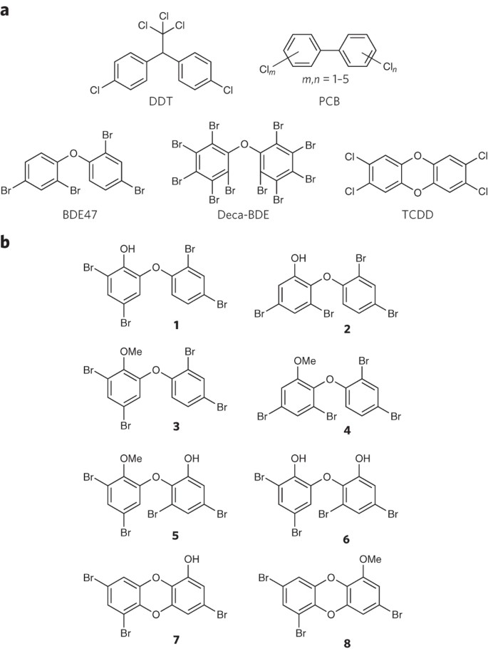 Metagenomic Discovery Of Polybrominated Diphenyl Ether Biosynthesis By Marine Sponges Nature Chemical Biology Metagenomic Discovery Of Polybrominated Diphenyl Ether Biosynthesis By Marine Sponges Nature Chemical Biology
