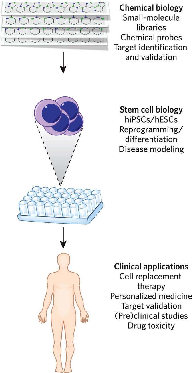 Keystone symposia – Modern Phenotypic Drug Discovery: From