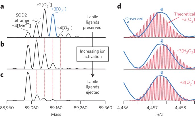 Top Down Characterization Of Endogenous Protein Complexes With Native Proteomics Nature Chemical Biology