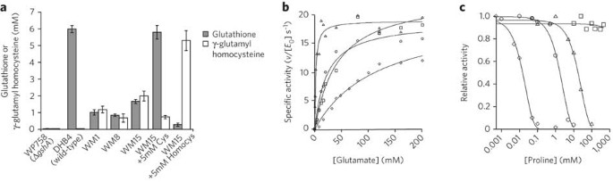titan medical glutathione Glutathione Injection Cost, Benefits, Side Effects