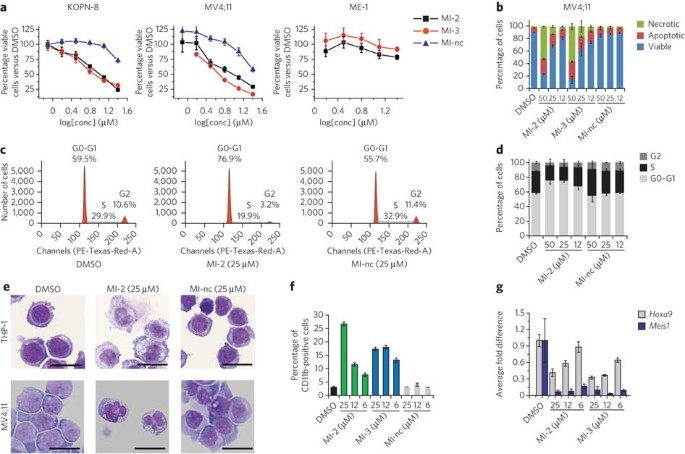 Menin-MLL inhibitors reverse oncogenic activity of MLL fusion proteins in  leukemia