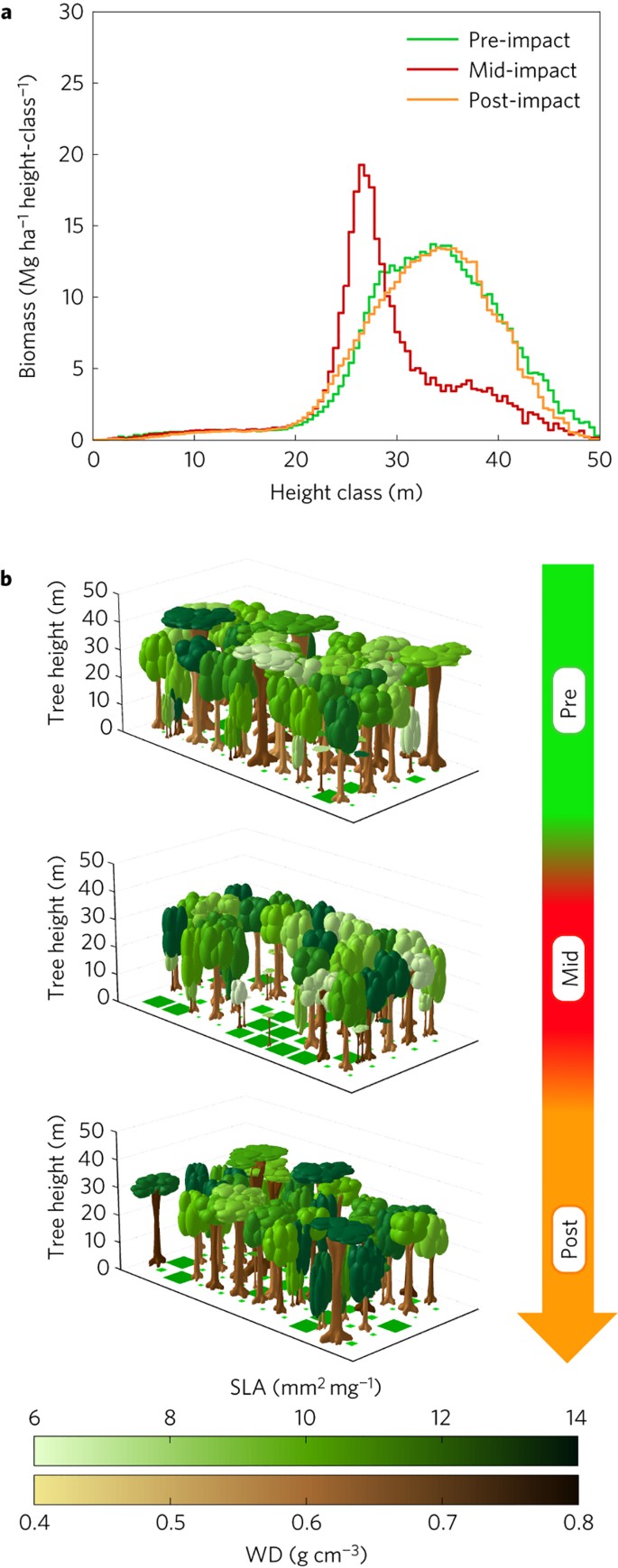 Resilience Of Amazon Forests Emerges From Plant Trait Diversity Nature Climate Change Resilience Of Amazon Forests Emerges From Plant Trait Diversity Nature Climate Change