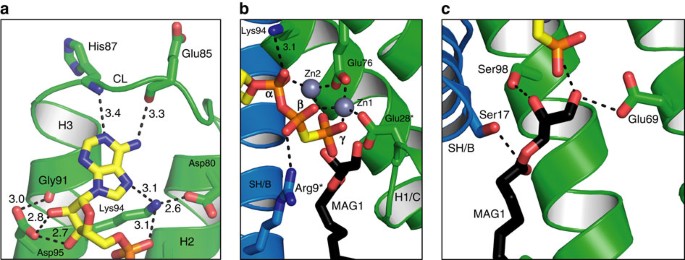 Ternary Structure Reveals Mechanism Of A Membrane Diacylglycerol Kinase Nature Communications