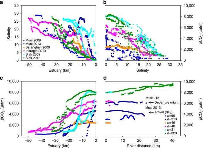 The impact of disturbed peatlands on river outgassing in Southeast 