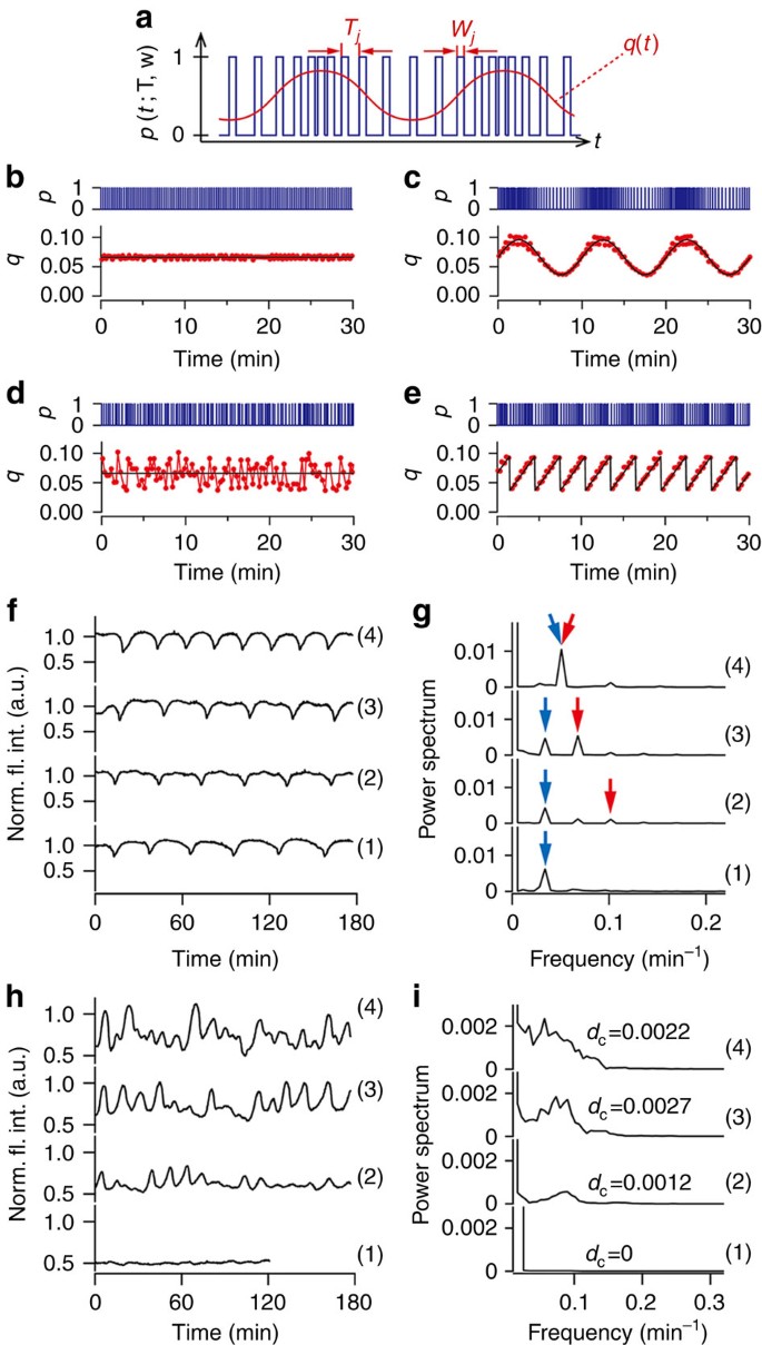 Pulse Density Modulation Control Of Chemical Oscillation Far From Equilibrium In A Droplet Open Reactor System Nature Communications