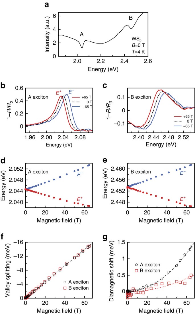 Exciton Diamagnetic Shifts And Valley Zeeman Effects In Monolayer Ws 2 And Mos 2 To 65 Tesla Nature Communications
