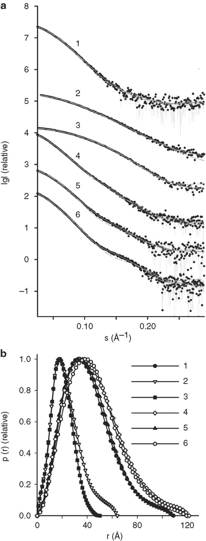 Figure 2: Small-angle X-ray scattering data and fits.