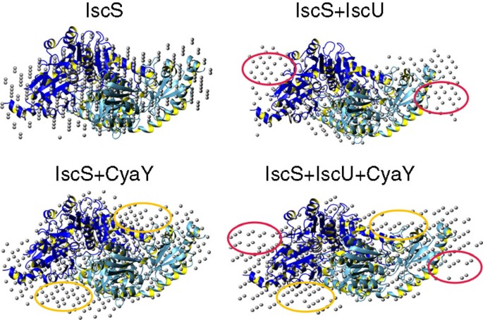 Figure 3: Small-angle X-ray scattering shapes.