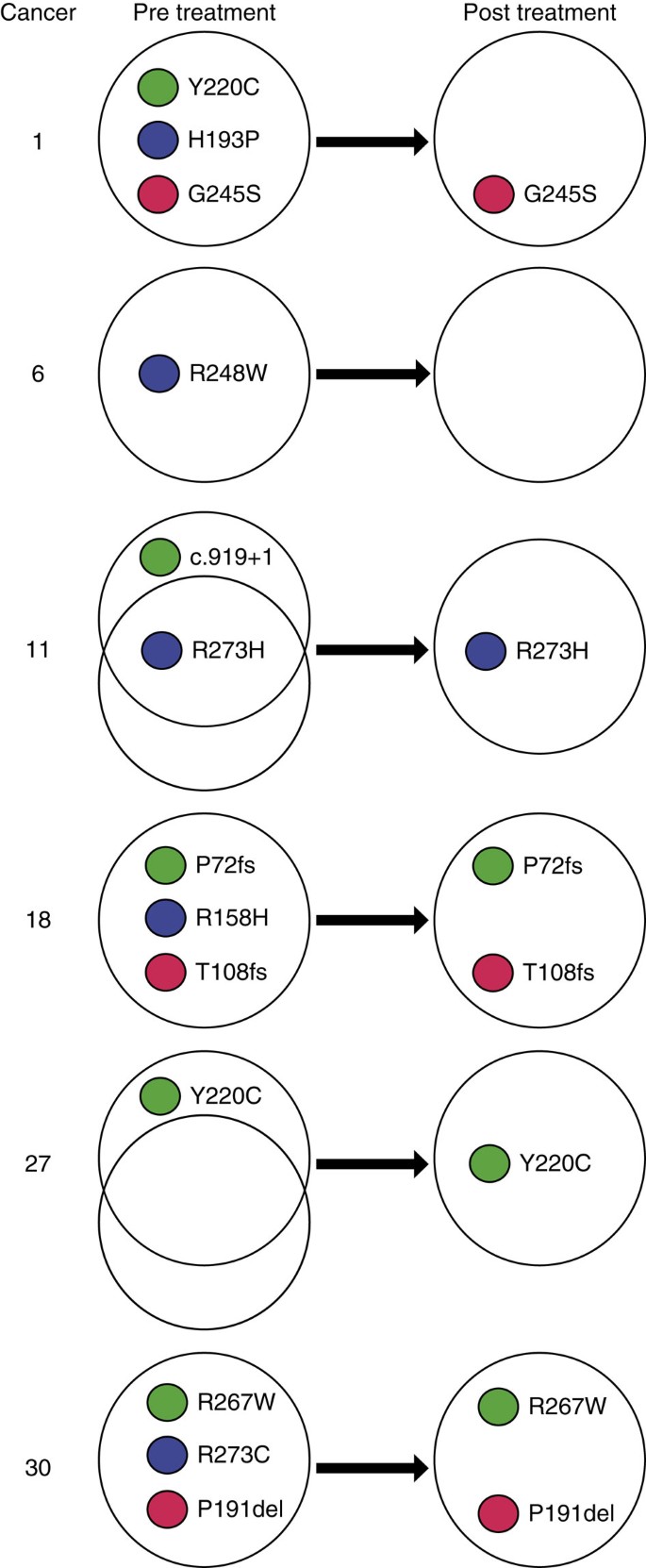 Differential Clonal Evolution In Oesophageal Cancers In Response To Neo Adjuvant Chemotherapy Nature Communications