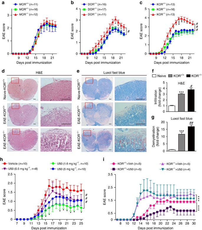 Rat resistance to rheumatoid arthritis induction as a function of the  early‐phase adrenal–pineal crosstalk - Córdoba‐Moreno - 2023 - The Journal  of Physiology - Wiley Online Library