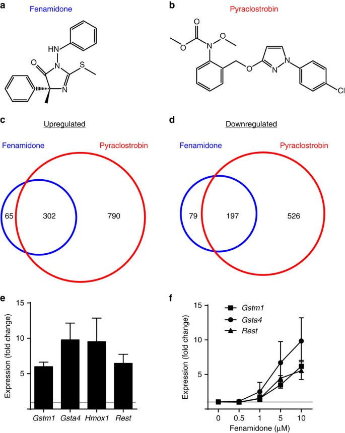 Pesticide Effect On Cells May Resemble >> Identification Of Chemicals That Mimic Transcriptional Pesticide Effect On Cells May Resemble >> Identification Of Chemicals That Mimic Transcriptional