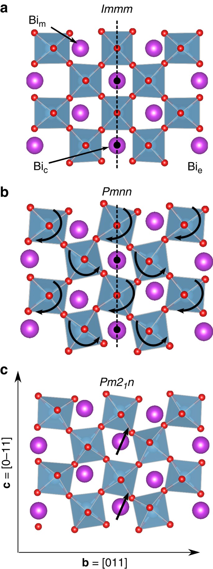 Prediction Of A Native Ferroelectric Metal Nature Communications
