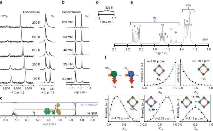 Supramolecular Macrocycles Reversibly Assembled By Te O