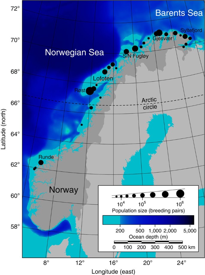 Modelled Drift Patterns Of Fish Larvae Link Coastal Morphology To Seabird Colony Distribution Nature Communications