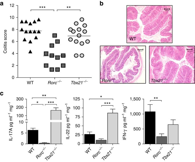 T Bet Is A Key Modulator Of Il 23 Driven Pathogenic Cd4 T Cell Responses In The Intestine Nature Communications
