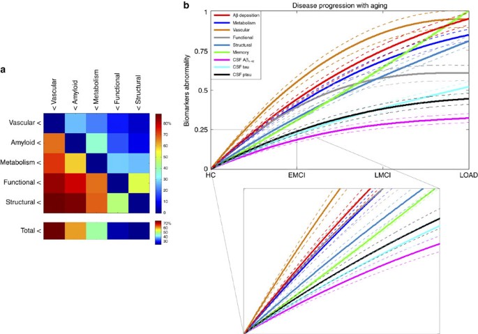 Figure 3: Data-driven spatiotemporal ordering in LOAD progression.