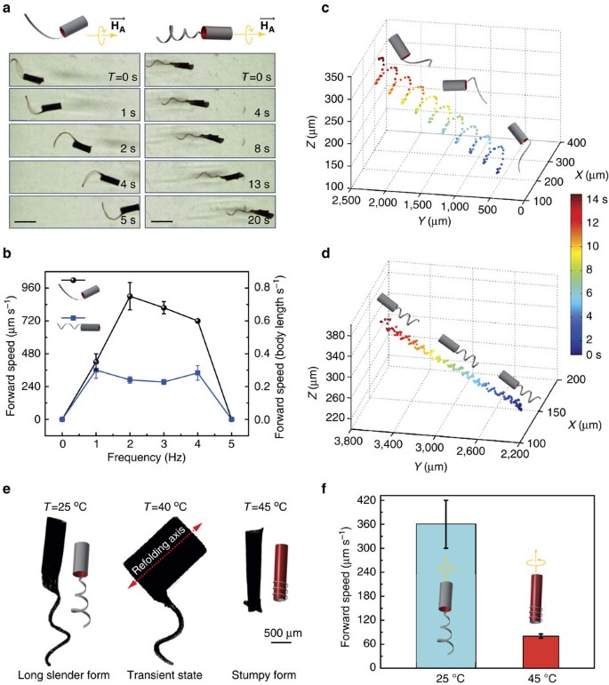 https://media.springernature.com/lw685/springer-static/image/art%3A10.1038%2Fncomms12263/MediaObjects/41467_2016_Article_BFncomms12263_Fig4_HTML.jpg