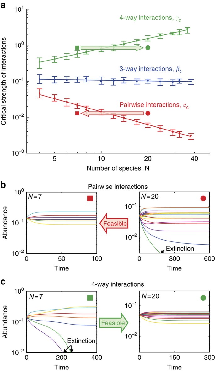 High Order Species Interactions Shape Ecosystem Diversity - 