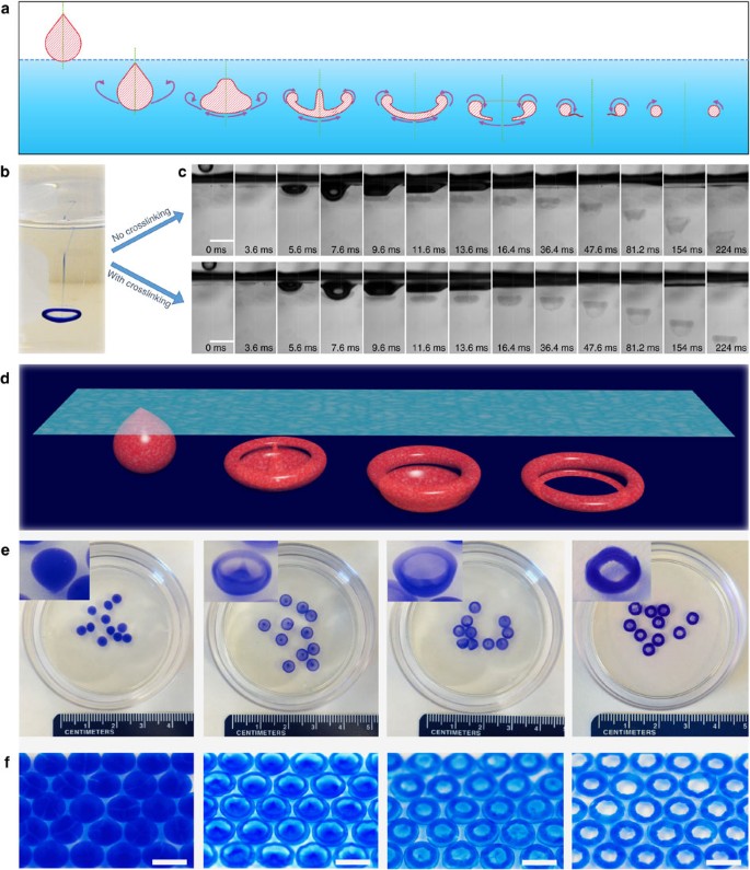 Mass production of shaped particles through vortex ring freezing | Nature  Communications