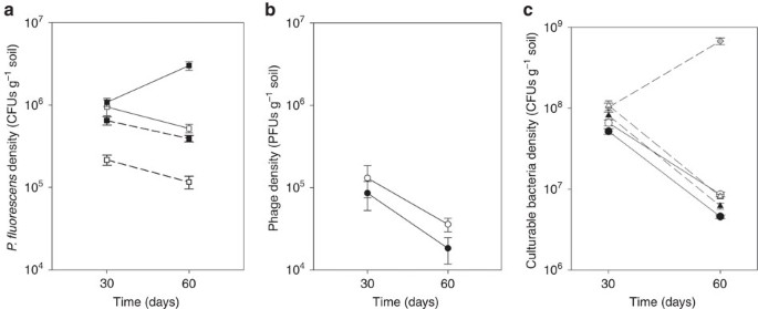 Figure 2: Bacterial population densities in the natural microbial community.