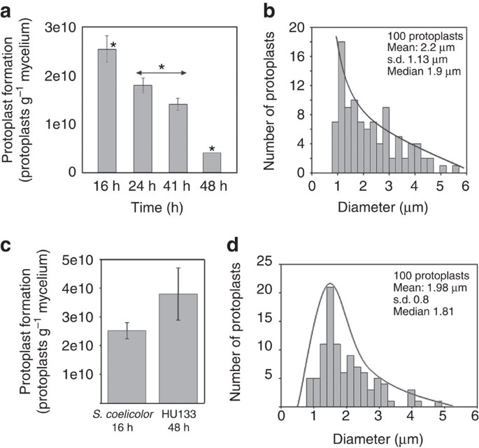 Figure 7: Protoplast formation correlates with MI and compartmentalization in the ftsZ mutant HU133.