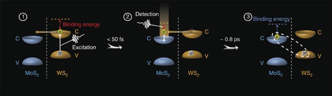 Figure 4: Charge separation processes in the heterostructure.