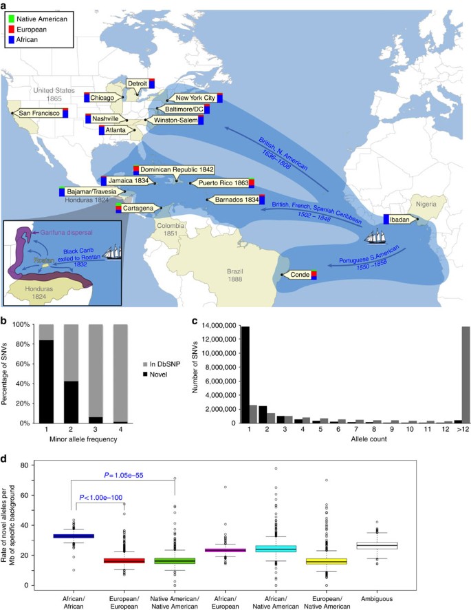 A continuum of admixture in the Western Hemisphere revealed by the African  Diaspora genome | Nature Communications
