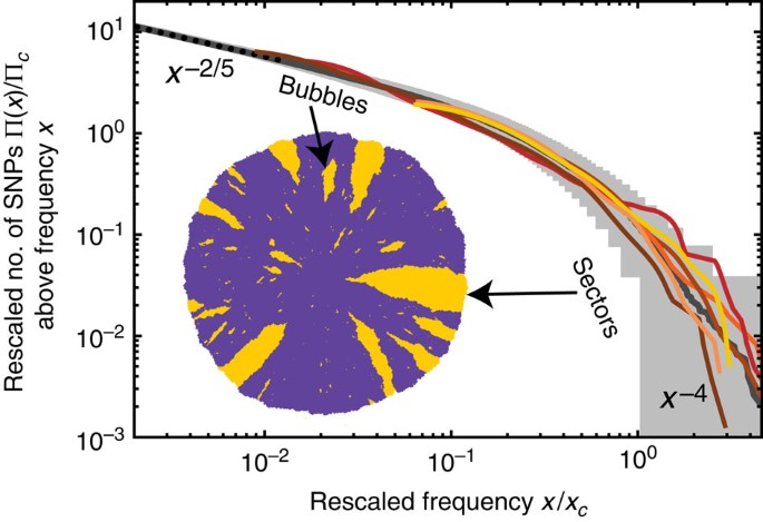 Excess of mutational jackpot events in expanding populations revealed by  spatial Luria–Delbrück experiments