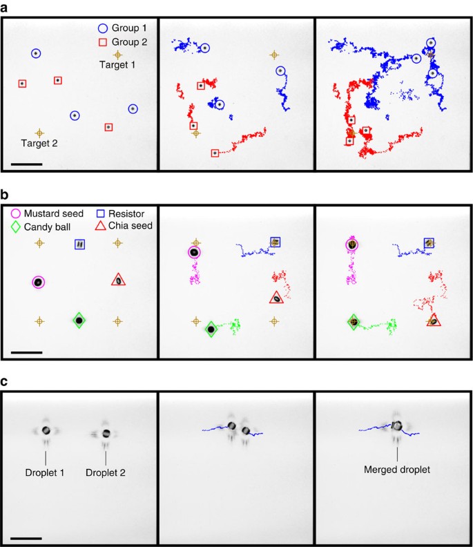 Controlling The Motion Of Multiple Objects On A Chladni Plate Nature Communications